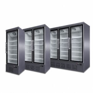Upright Glass Door Display Chiller Fridge - Kaya - Multi