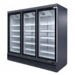 Upright Glass Door Display Chiller Fridge - Kaya - Multi - Image 4